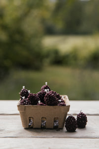 Blackberry Birthday Candles